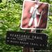 report photo