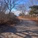 report photo