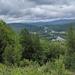 report photo