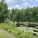 report photo