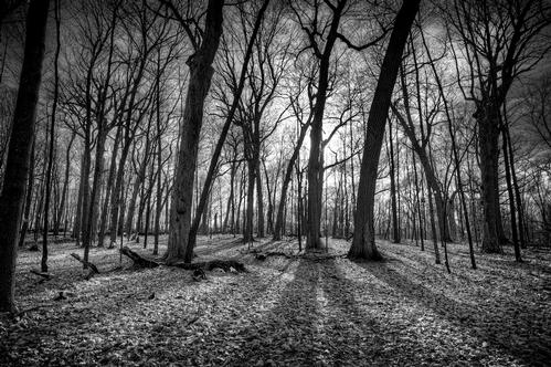 Featured Photo