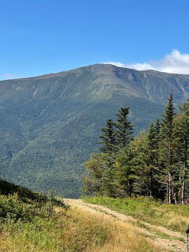 Photo from Wildcat Mountain Hike trip report