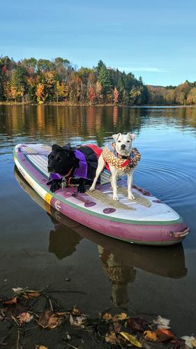 Photo from Paddle-O-Ween:  Halloween Bash trip report