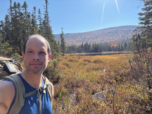 Profile photo of LikesTrees