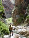 Rhohiker
